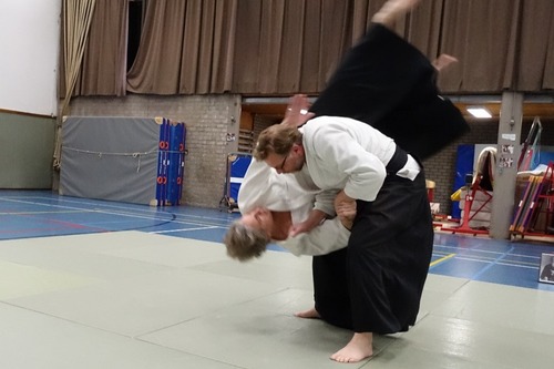 Aikido kent ook diverse werp- en valtechnieken