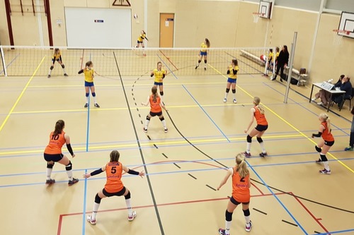 Cool Moves Volleybal